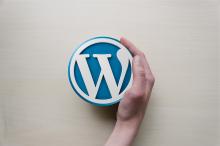 Wordpress Plugins - Top 5 